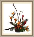 Ana Flowers & Gifts, 1302 Gilman, Albany, CA 94706, (510)_558-7420